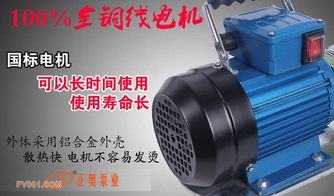 WCB型手提式齒輪油泵,鑄鐵齒輪油泵出廠直銷,信譽(yù)單位