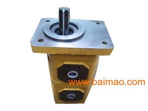 cbgj雙聯齒輪油泵,專業的cbgj雙聯齒輪油泵 ,cbgj雙聯齒輪油泵,專業的cbgj雙聯齒輪油泵 生產廠家,cbgj雙聯齒輪油泵,專業的cbgj雙聯齒輪油泵 廠家直銷